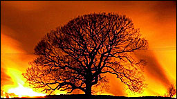 la nuit de P&acirc;ques