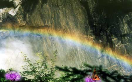 d&eacute;fense l'environnement