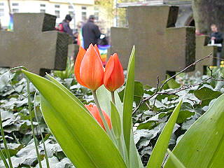 apr&egrave;s la mort