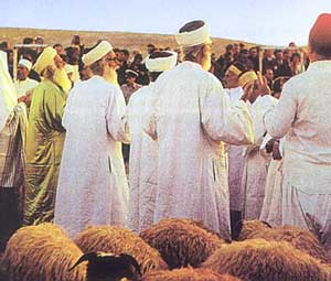 En quoi t'ai-je fatigu&eacute;?